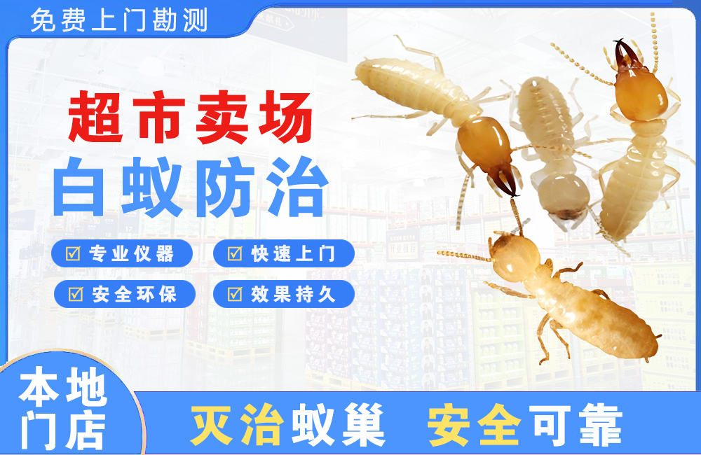 昆明超市卖场白蚁防治