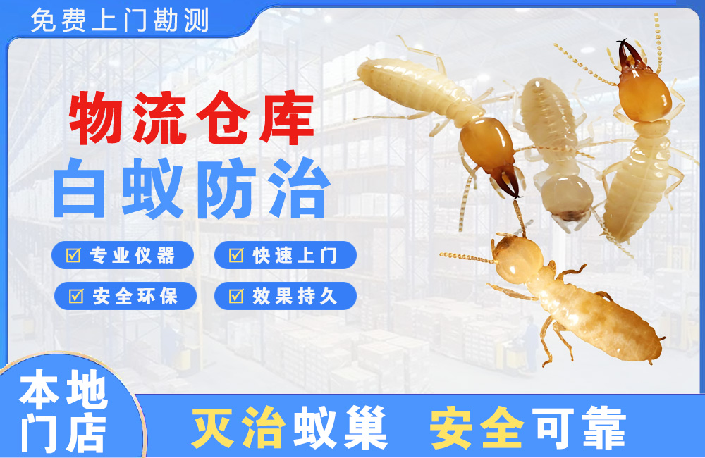 昆明物流仓库白蚁防治