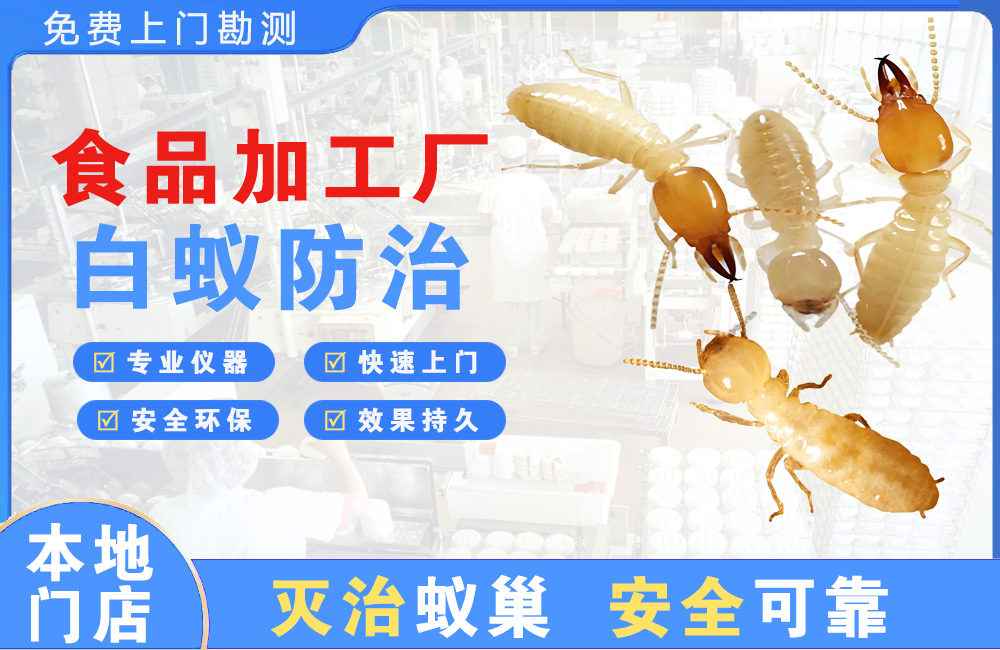 昆明食品加工厂白蚁防治
