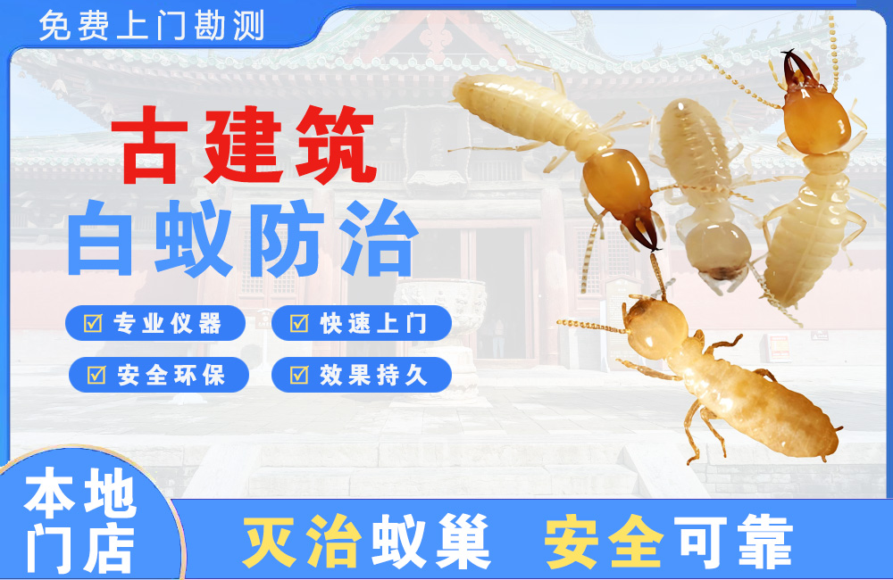 昆明古建筑白蚁防治