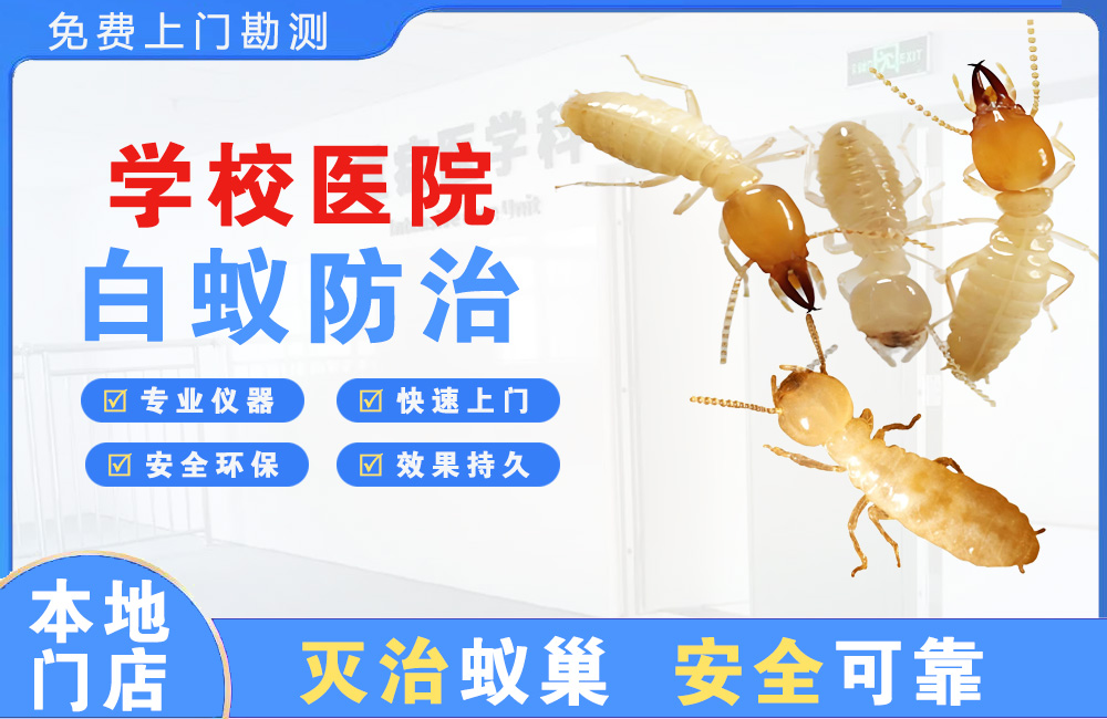 昆明学校医院白蚁防治