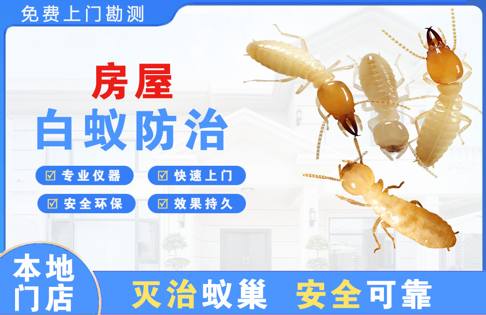 昆明房屋白蚁防治