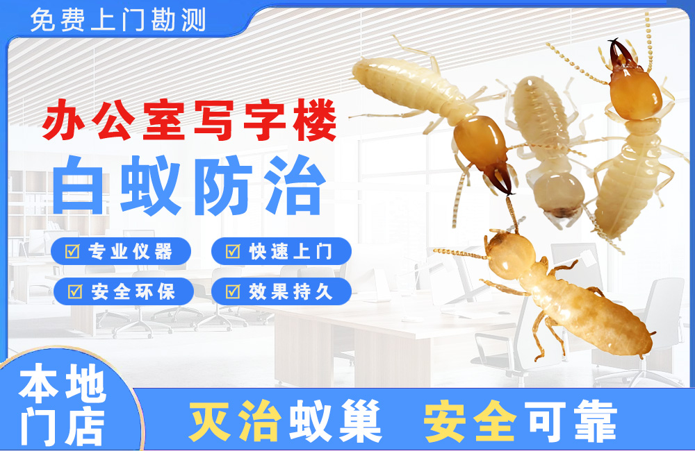 昆明办公室写字楼白蚁防治