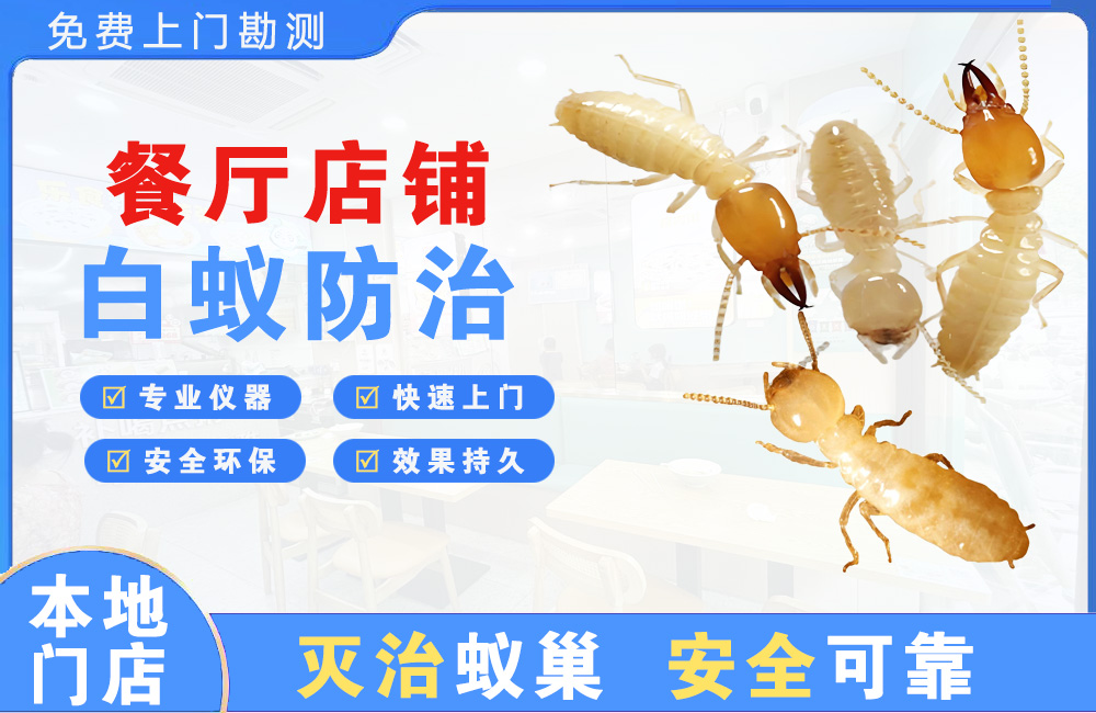 昆明餐厅店铺白蚁防治